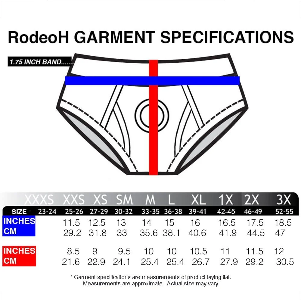 Rodeoh Strap-On Harness Black Briefs - Image 5